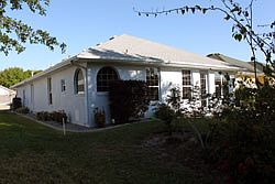 Back view