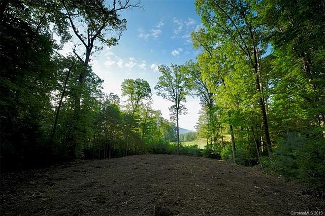 2nd image of 1961 White Tree Trl #210