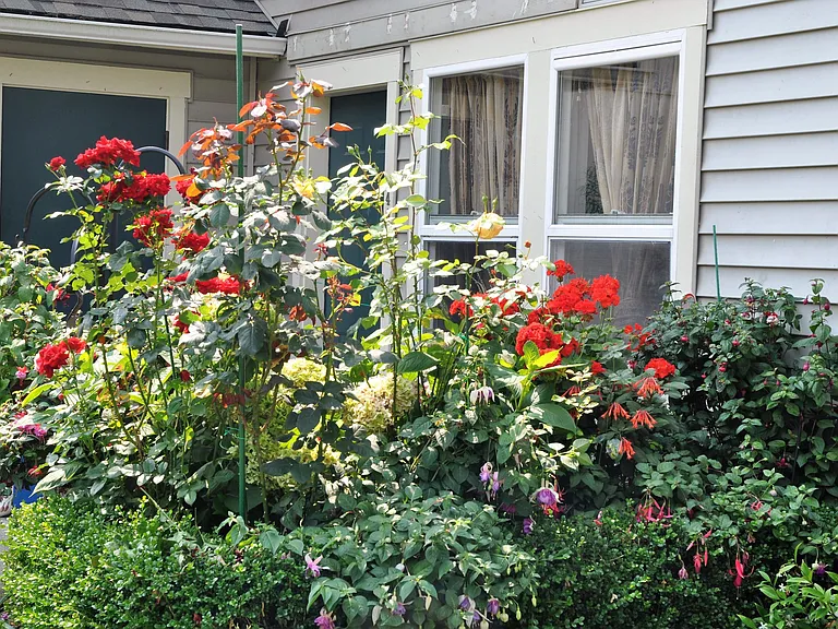 Highland Gardens — Photo 7