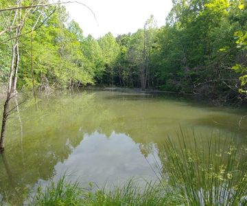 3073 Peter Trace Rd, Means, KY, 40346