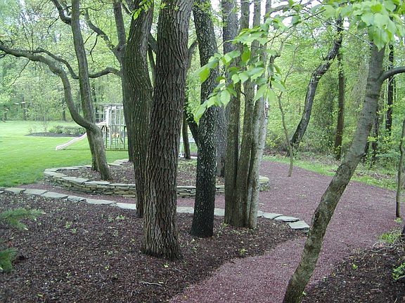 Back Woods / Landscaping