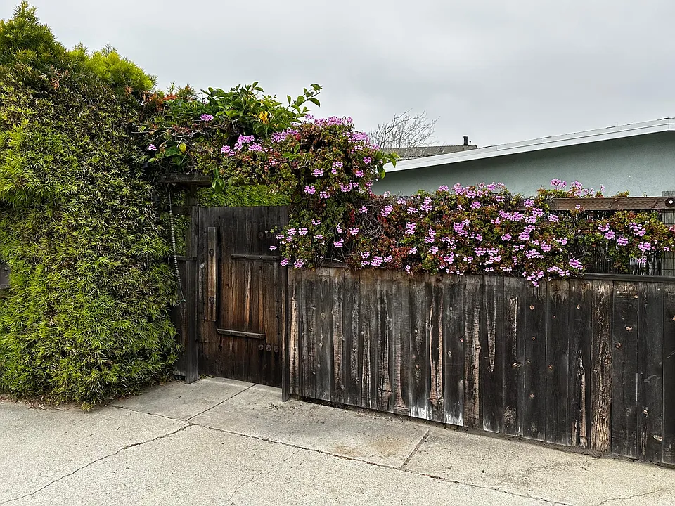 1317 Camden Ln