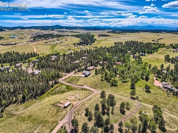 303 Pinaceae Hts, Divide, CO 80814