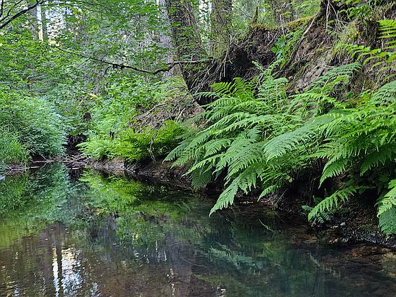 5th image of Eden Valley Rd