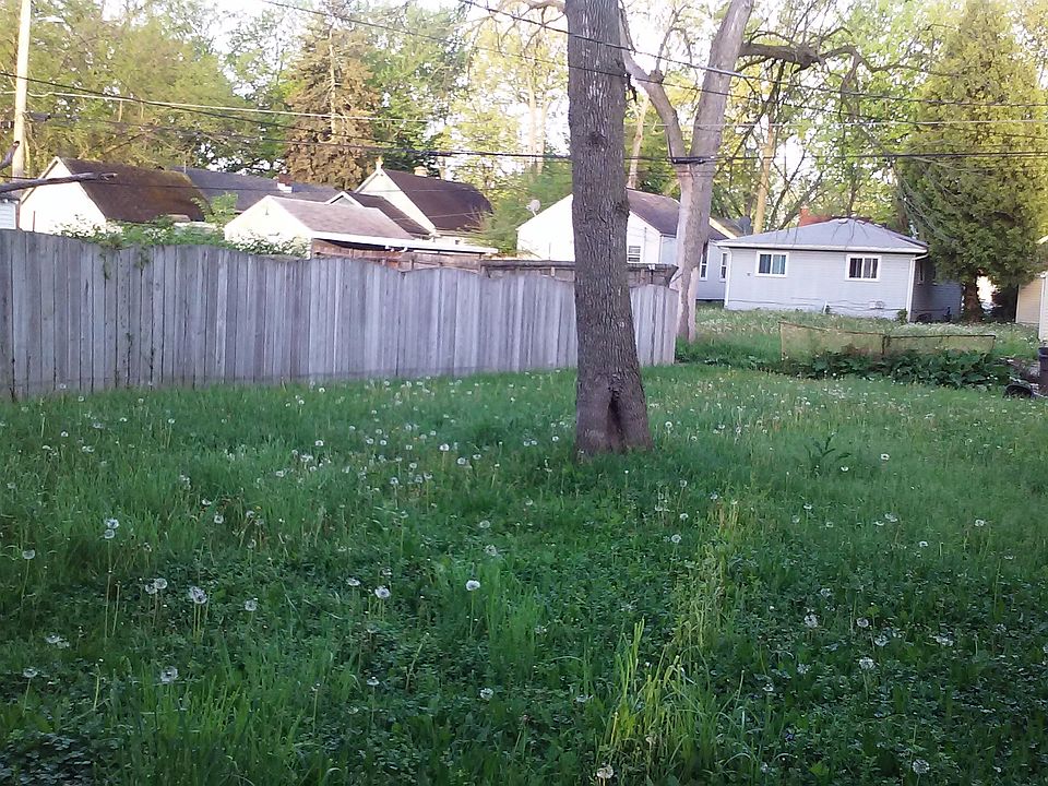 Your Backyard