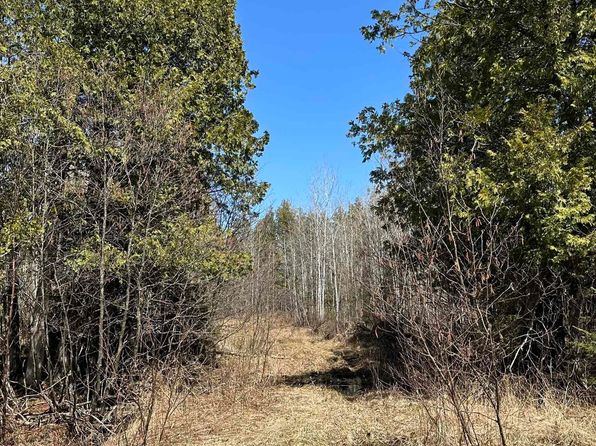 Old 69 Rd, Crystal Falls, MI 49920