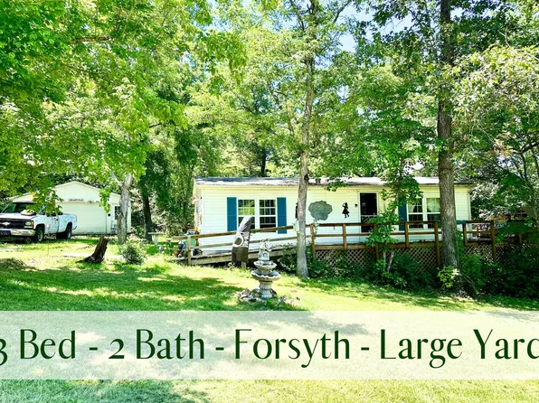 155 Critter Road, Forsyth, MO 65653