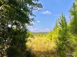 15 Morgan Ln, Molino, FL 32577