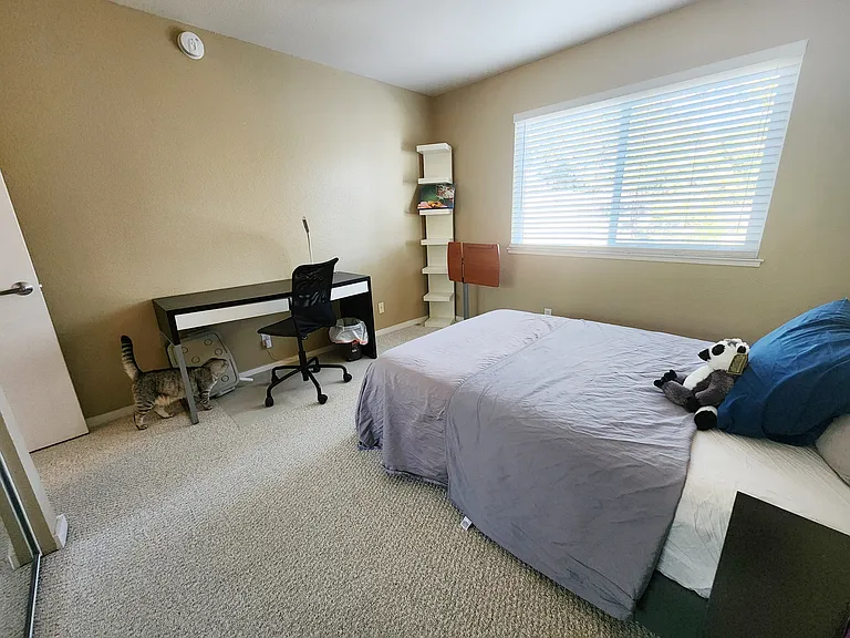 24723 Echo Springs Dr — Photo 11