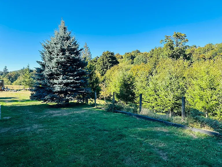 128 Bunting Dr — Photo 4