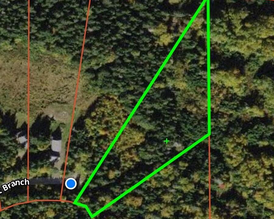 1st image of Lot 59 Left Branch