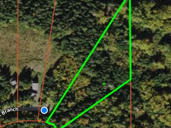 Lot 59 Left Branch, Rangeley Plt, ME 04970