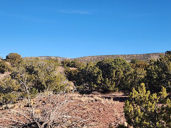 4th image of 20 Camino Del Carrisito