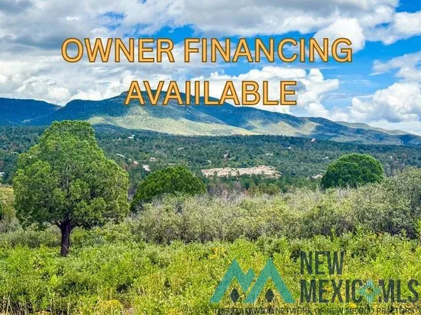 LOT 3 Paradise Valley Ct, Timberon, NM 88350
