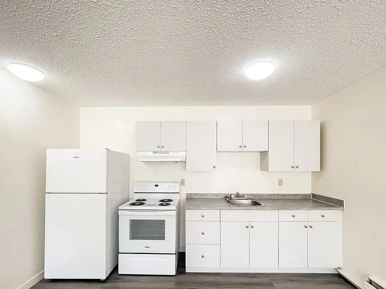 133 Davidson Cres — Photo 4