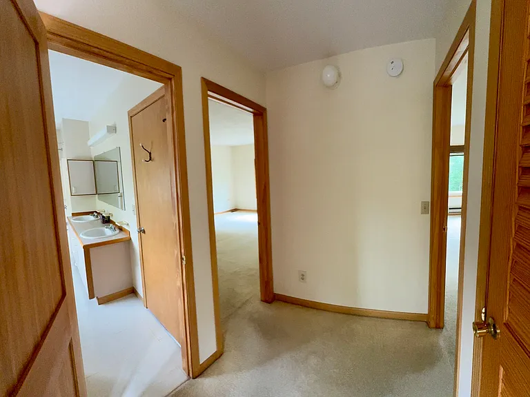 Second floor full bathroom with double vanity and attached door to the primary bedroom to the left, storage closet to the right