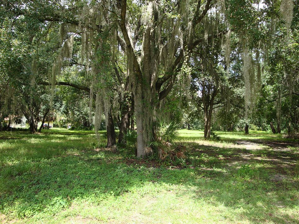 2nd image of 2107 Lone Palm Dr
