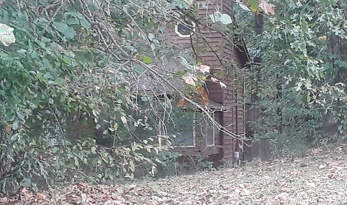 2nd image of 20 Briarcliff Pl