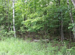 0 Raven Rd, richmondville, NY 12149