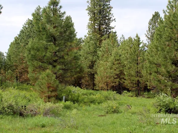 9 Kayla Way, Cascade, ID 83611