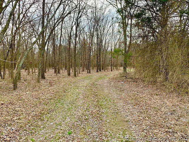 2nd image of County Road 3650