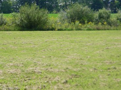 4364 Country Ln, North Branch, MI, 48461