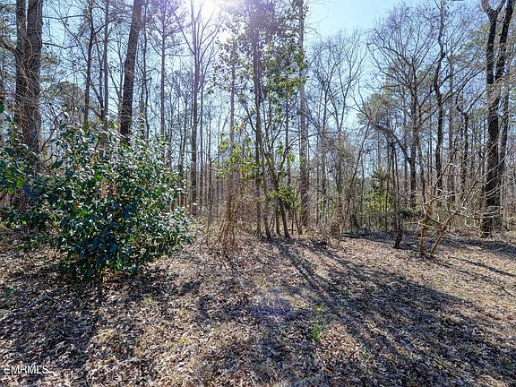 5th image of 585 Pippins Rd