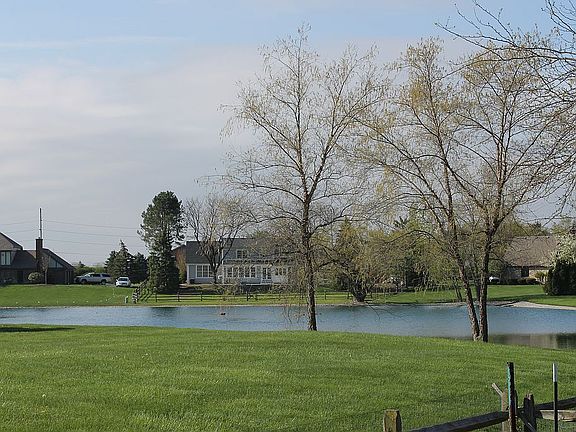 pond view from house & yard