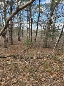 Lot 1 Maple Street, Farmingdale, ME, 04344