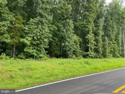 Route 616 Bristersburg Rd, Catlett, VA, 20119