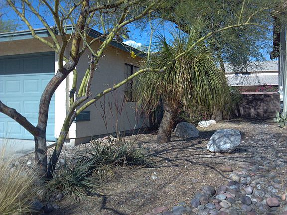 Front Side Yard