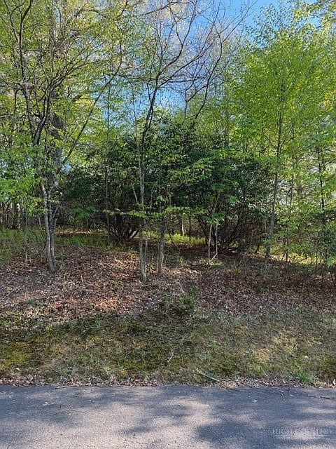 1st image of Lot #29 Isabel Way
