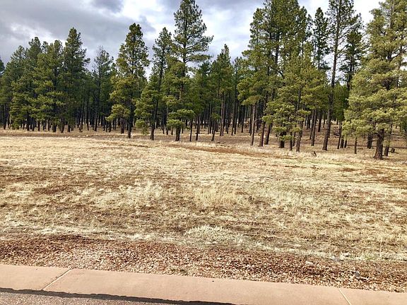 3rd image of 9587 Sierra Springs Way