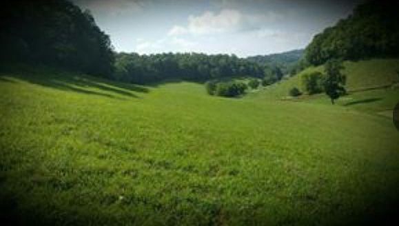 1st image of Charity Road