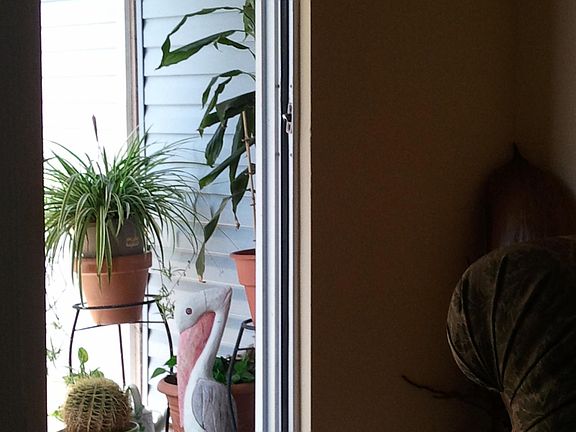 5th image of 7008 Constitution Blvd Unit 94