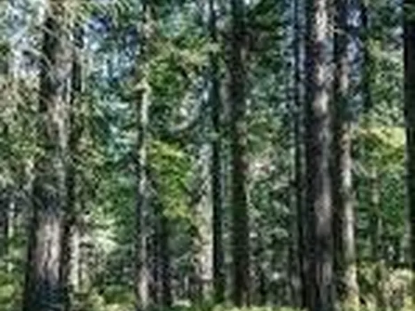 Route 9 Secluded Ln Lot 12, Georgetown, DE 19947