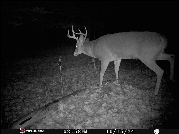 4th image of 5132 County Route 25 N