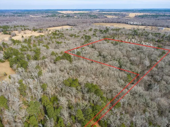 County Road 4917, Ben Wheeler, TX 75754