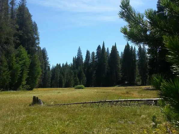 58340 Meadow Ct, Ponderosa, CA 93265