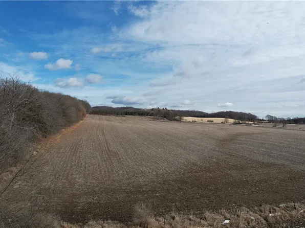 XXX County Road Z, Eau Galle, WI 54737