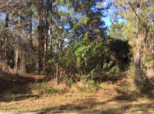 1419 Wellington Ave, Lehigh Acres, FL 33972