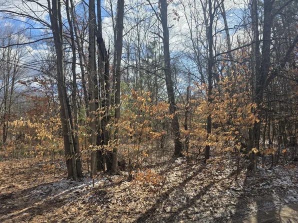 N 3rd St, White Cloud, MI 49349