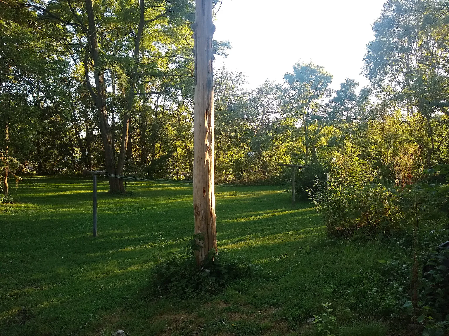 2 bed, 850 sqft, $1,175 — Photo 2