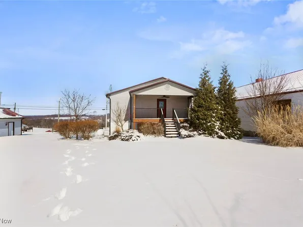 117 E Millersburg St, Nashville, OH 44661