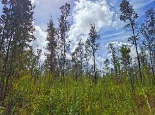 Road 3 Hopue LOT 3151, Mountain View, HI 96771