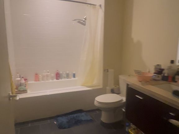 3rd image of 1155 S Grand Ave APT 511