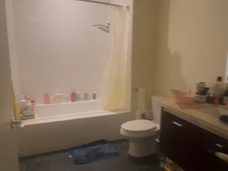 1155 S Grand Ave #511 — Photo 3
