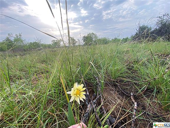 3rd image of 7 Fm 2814 Lot 7