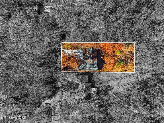 5th image of 119 Juniper Dr