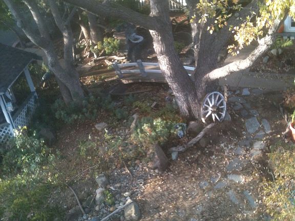 5th image of 2350 Fruitdale Ave